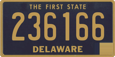 DE license plate 236166