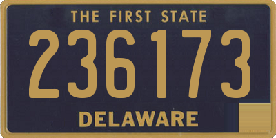 DE license plate 236173