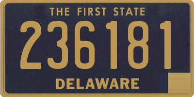 DE license plate 236181