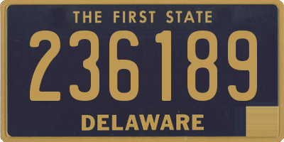 DE license plate 236189