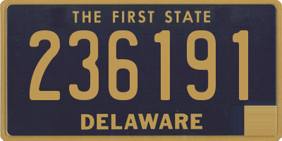 DE license plate 236191