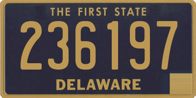 DE license plate 236197
