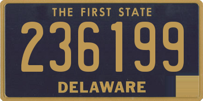 DE license plate 236199