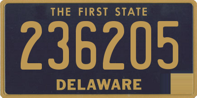 DE license plate 236205