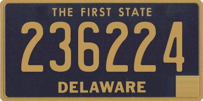 DE license plate 236224