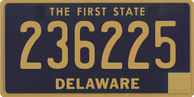 DE license plate 236225