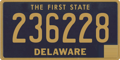 DE license plate 236228