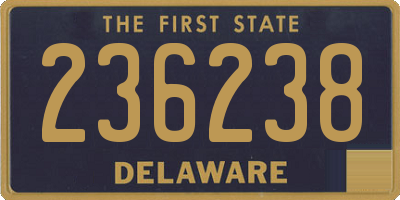 DE license plate 236238