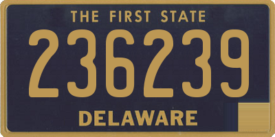 DE license plate 236239