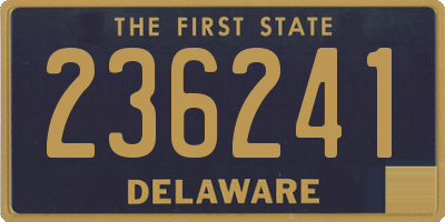 DE license plate 236241