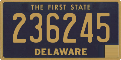 DE license plate 236245