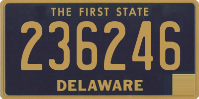 DE license plate 236246