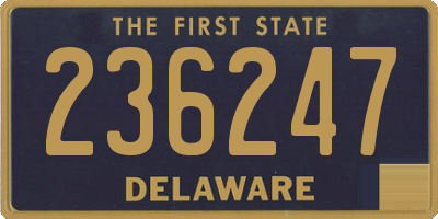 DE license plate 236247