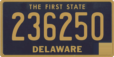 DE license plate 236250