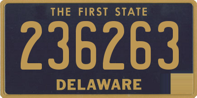 DE license plate 236263