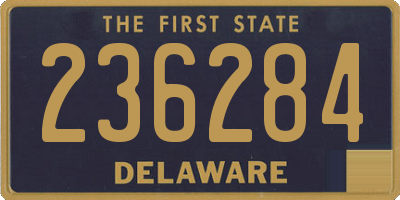 DE license plate 236284