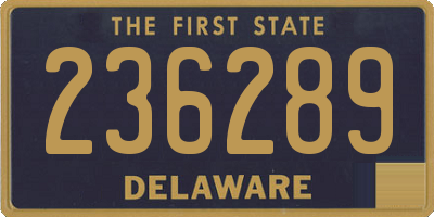 DE license plate 236289