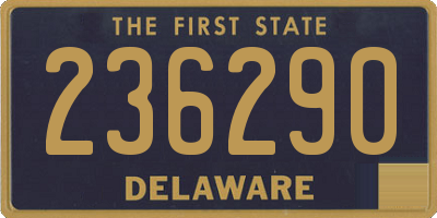 DE license plate 236290