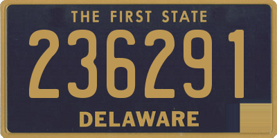 DE license plate 236291