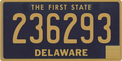 DE license plate 236293