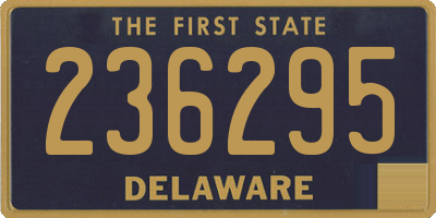 DE license plate 236295