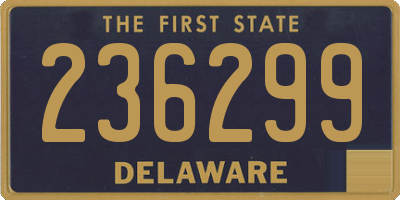 DE license plate 236299