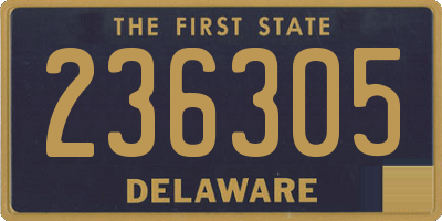DE license plate 236305