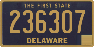 DE license plate 236307