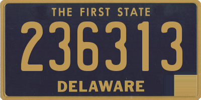 DE license plate 236313