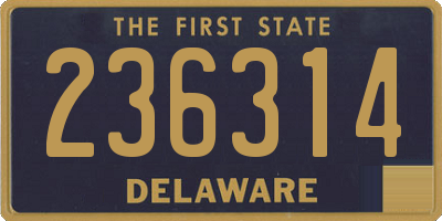 DE license plate 236314