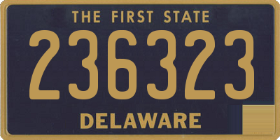 DE license plate 236323