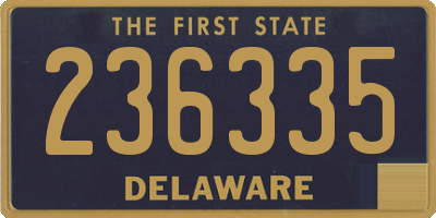 DE license plate 236335