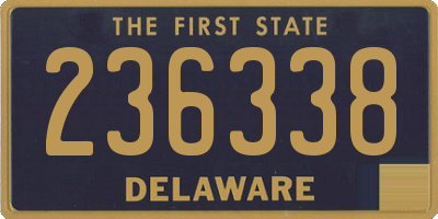 DE license plate 236338