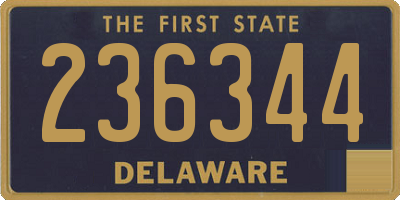 DE license plate 236344