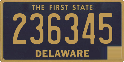 DE license plate 236345