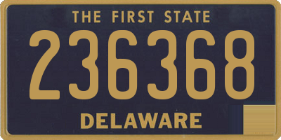 DE license plate 236368