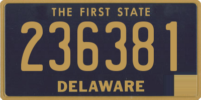 DE license plate 236381