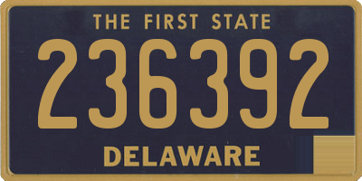 DE license plate 236392