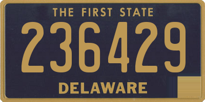 DE license plate 236429