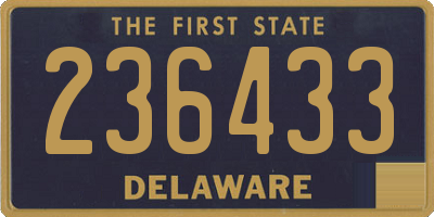 DE license plate 236433