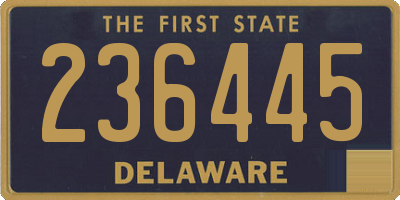 DE license plate 236445