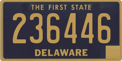 DE license plate 236446
