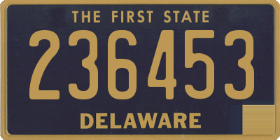 DE license plate 236453