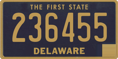 DE license plate 236455