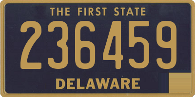 DE license plate 236459