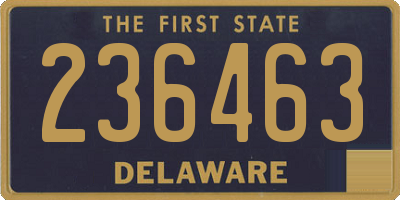 DE license plate 236463