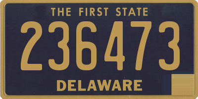 DE license plate 236473