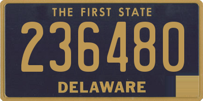 DE license plate 236480