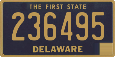 DE license plate 236495