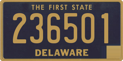 DE license plate 236501